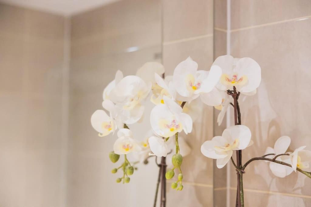 Cosy City Centre Apartment With Parking Birmingham Dış mekan fotoğraf